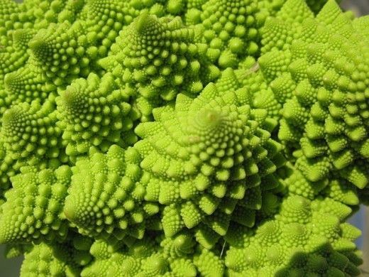 Romanesco : real or fake?